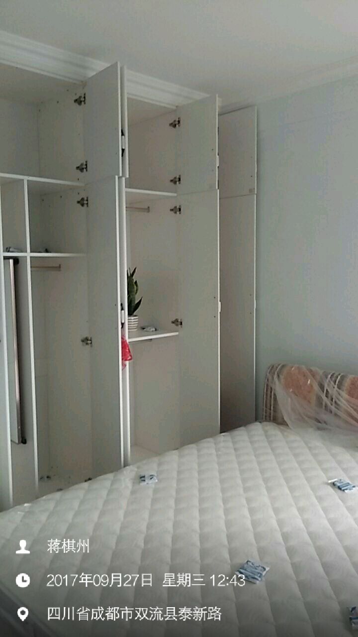 基装 基+主 整装